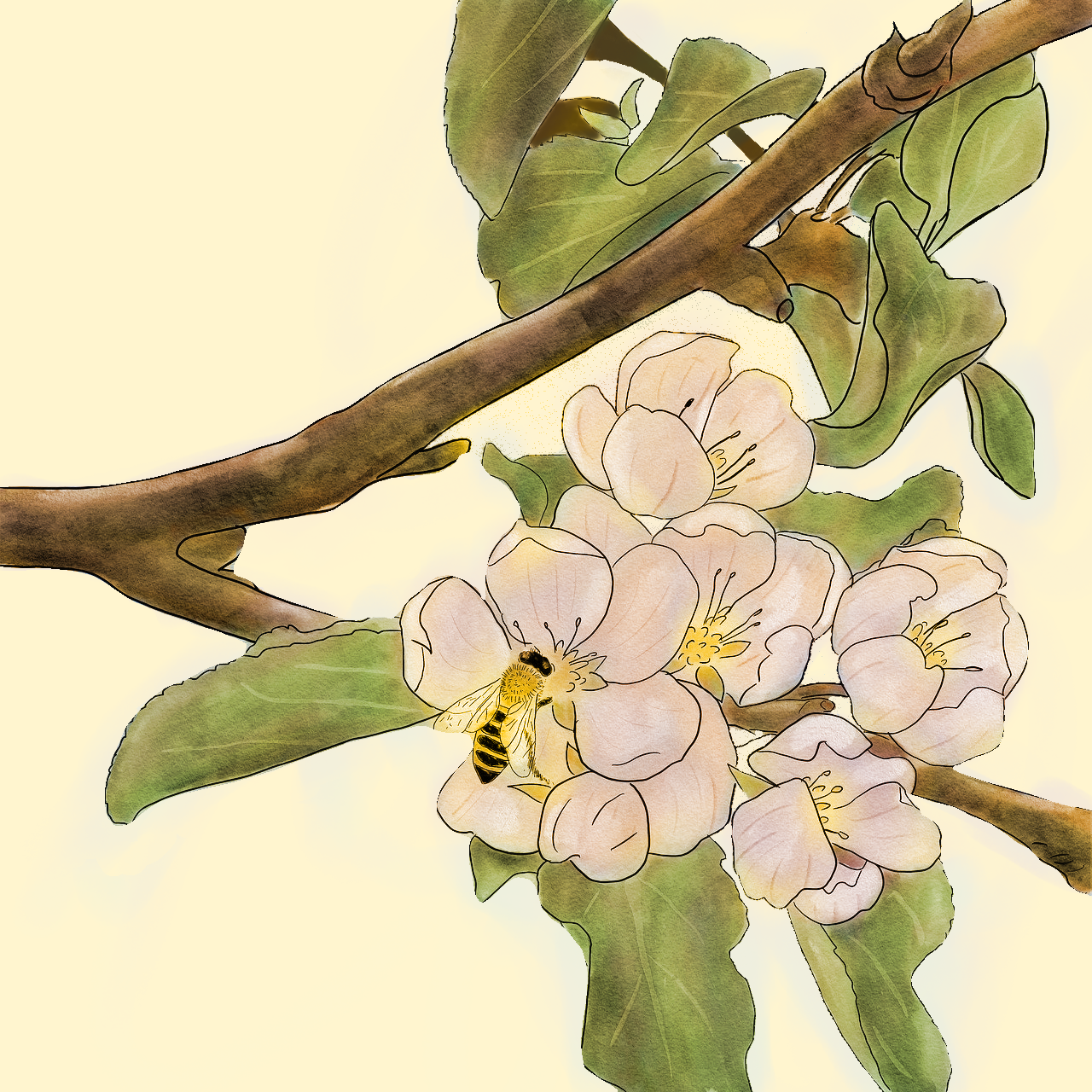 Flower Flair